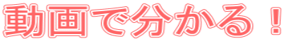 動画で分かる！